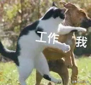 虚假客户套取公司费用,挖空心思诈骗公款