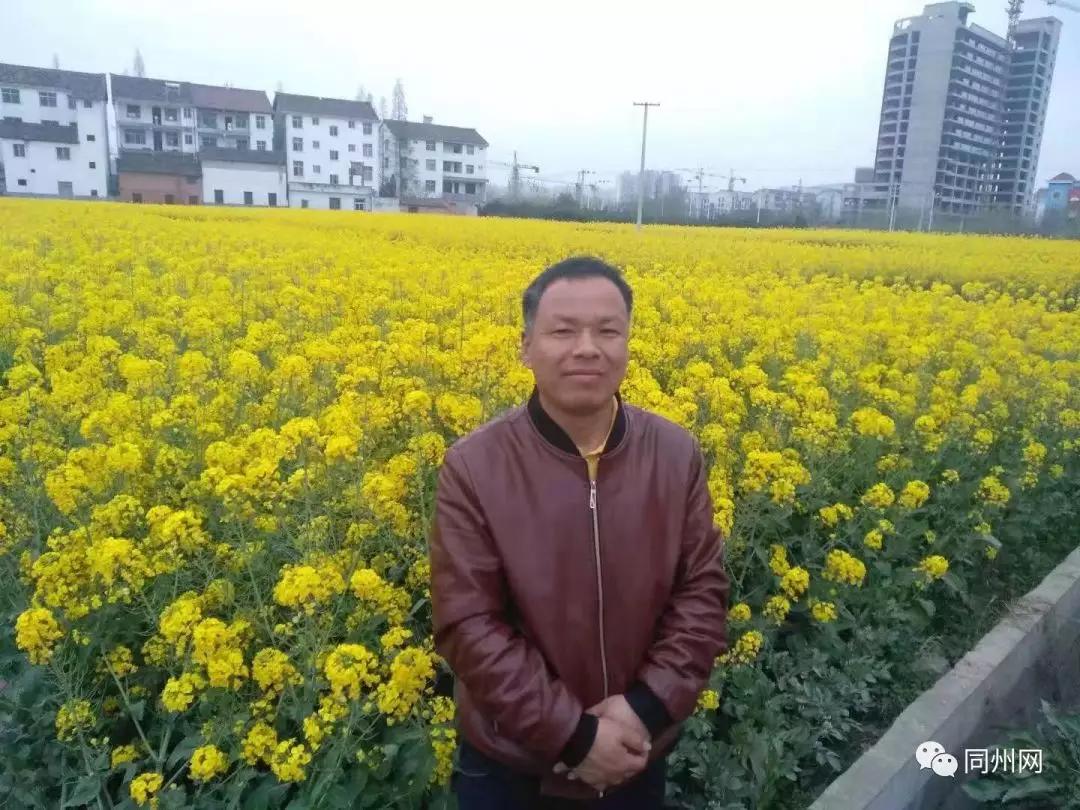 农垦中学甜品,农垦中学美食