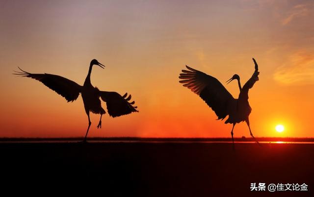 恒指期货平台怎么辨别真假,国内正规恒指期货哪个平台好