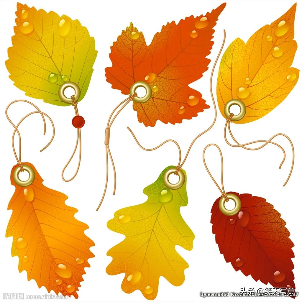 snapseed手机修图基础教程第二篇,snapseed手机修图教程200例