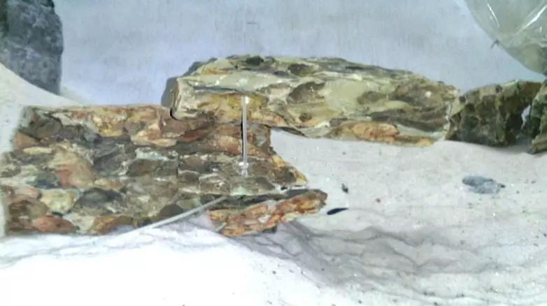 草缸造景教程：胶水造景太温柔，男人就该上电钻