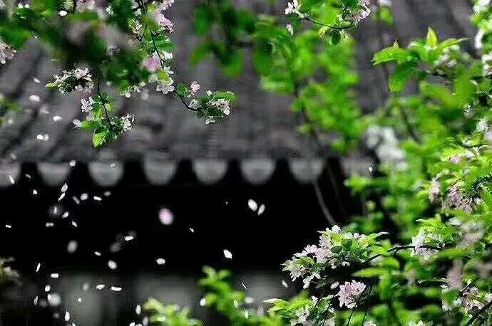 悟道和修道证道,如何见道修道和证道