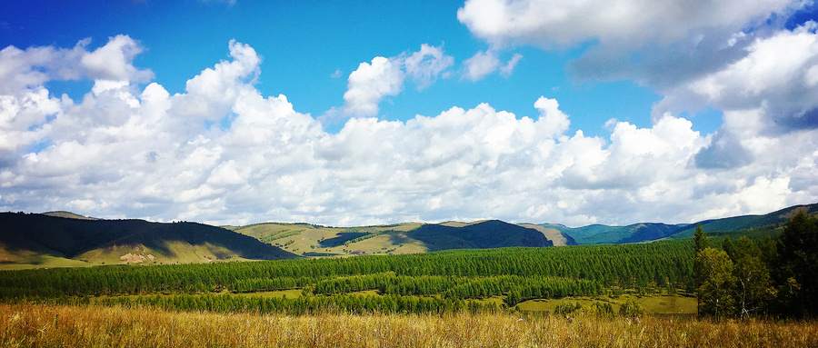 宣讲家文稿：优先发展农业农村全面推进乡村振兴——学习*党**的十九届五中全会精神