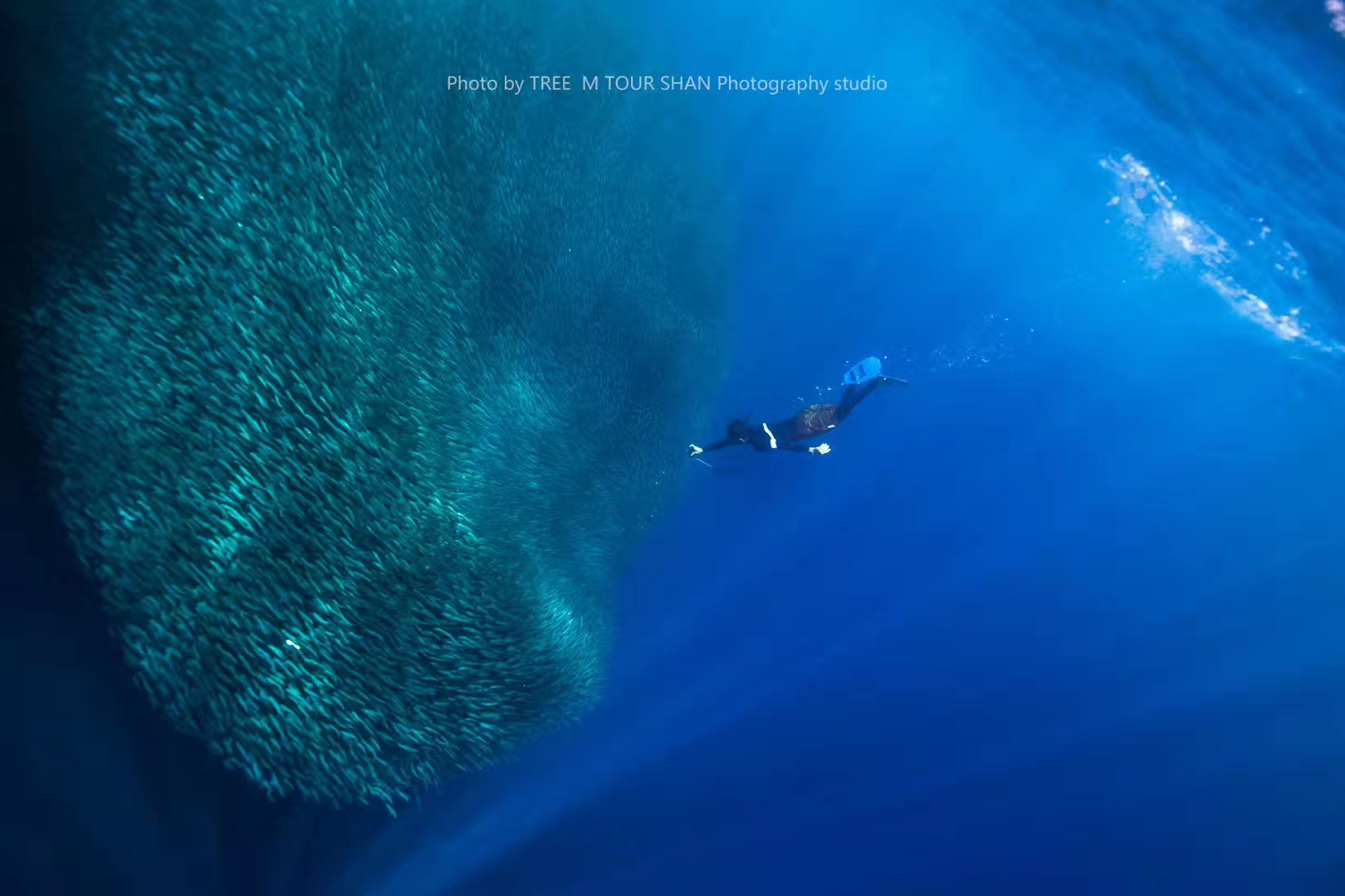 帕劳潜水旅游攻略,马尔代夫对比巴厘岛普吉岛帕劳
