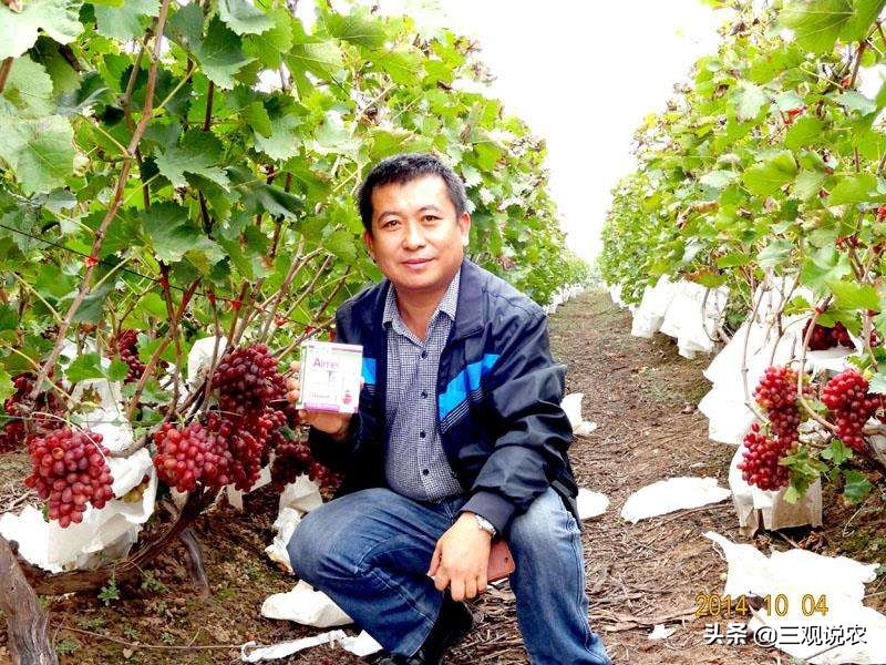 植物生长调节剂催熟,有催熟作用的植物生长调节剂