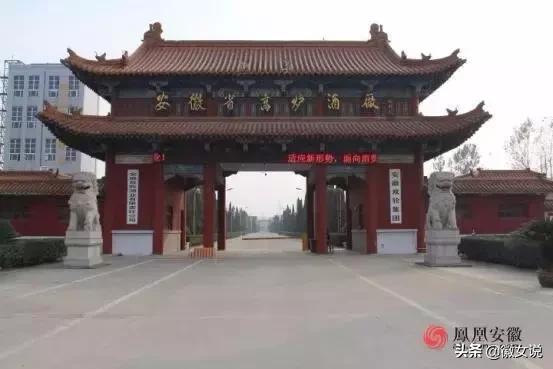 安徽名酒最好喝的是哪一种,安徽10大名酒排行榜第一名