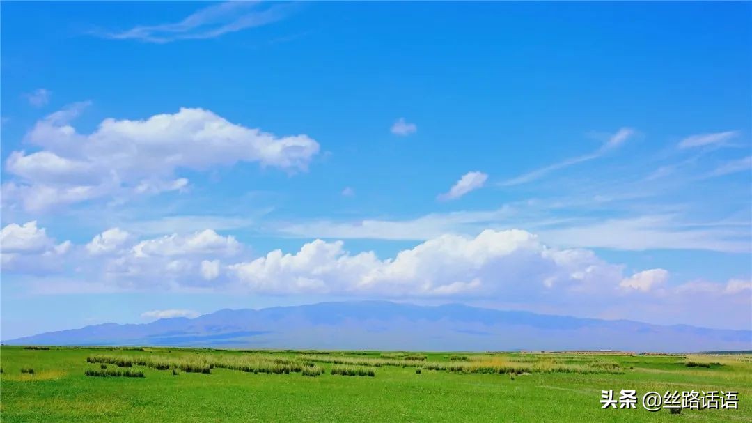 春暖花开等你来赏花,春暖花开等你来赏花原唱视频