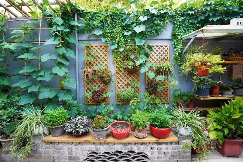 胡同里的日常生活,胡同里的北京生活