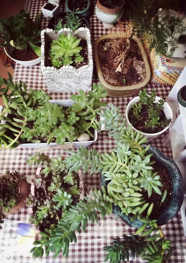 梦想改造家小户型,农村庭院改造效果图大全