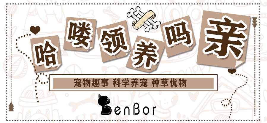 猫咪怕热怕冷是什么原因,怕热猫咪怎么过夏天