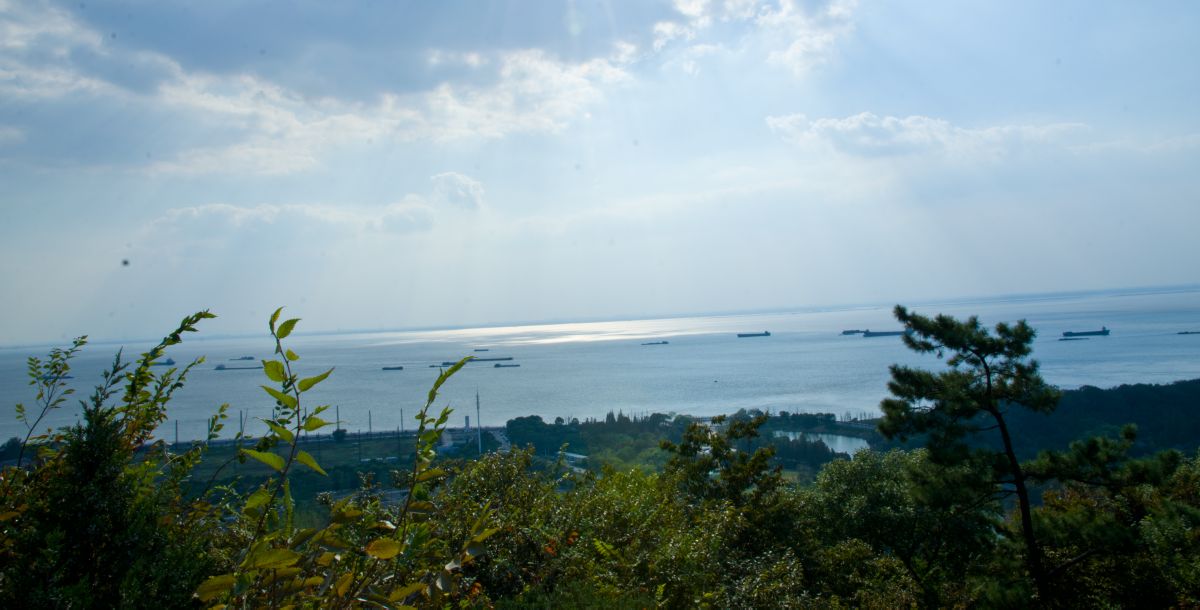 尼康d700有hdr功能吗,尼康d700二手还值多少钱