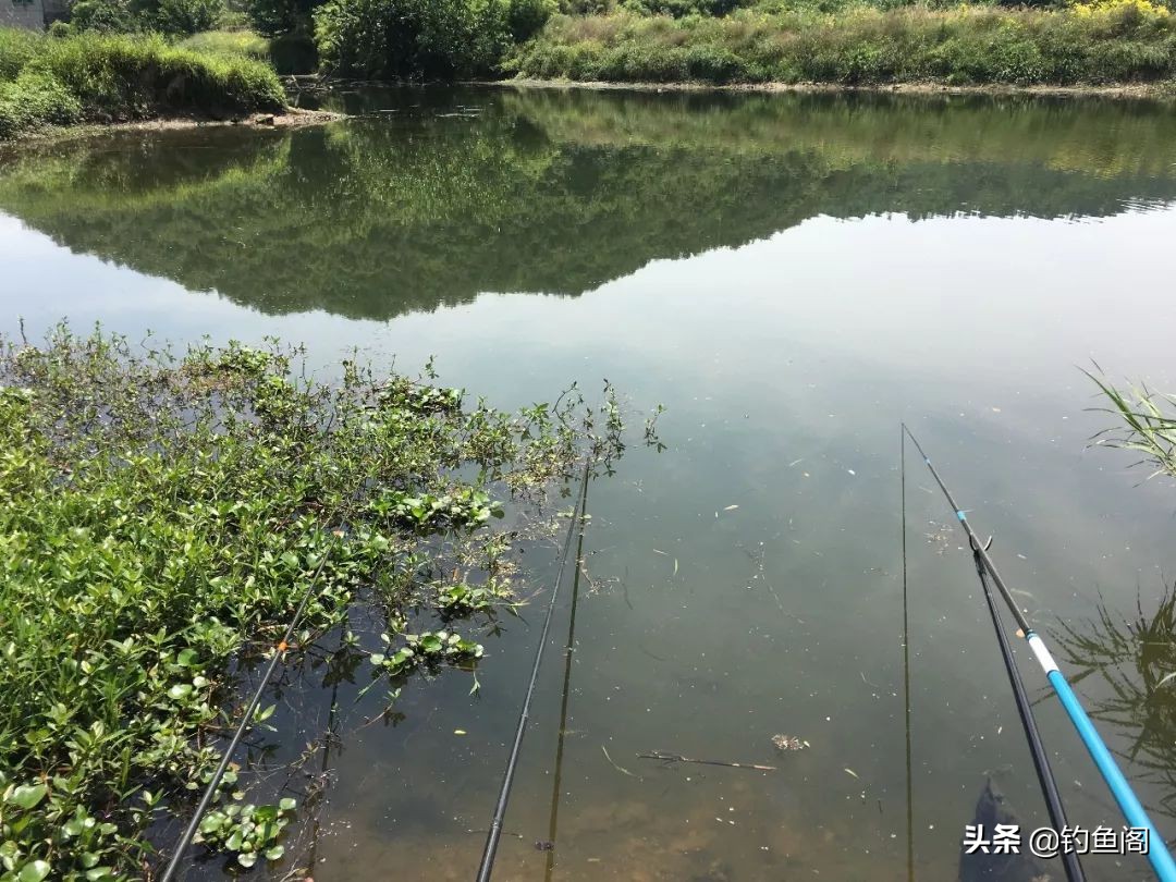 冲钓如何选择浮漂,如何选择浮钓漂