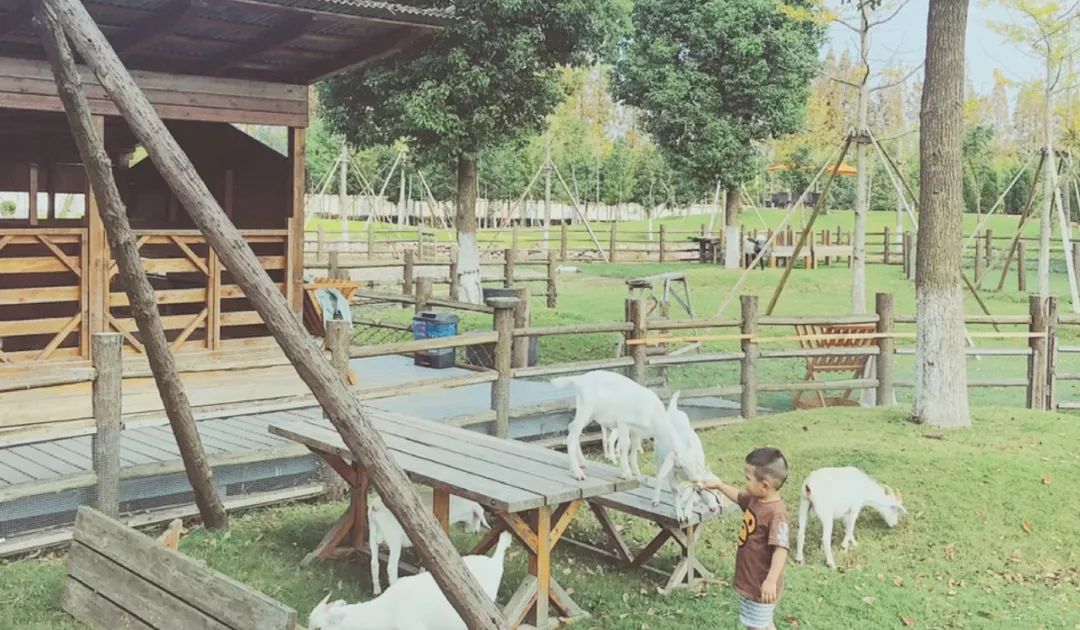 端午带娃小众旅游地点,端午旅游攻略三天两晚亲子