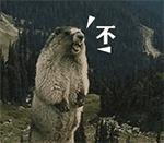 电动车和小车相撞电动车全责,电动车被撞了电动车全责怎么赔偿