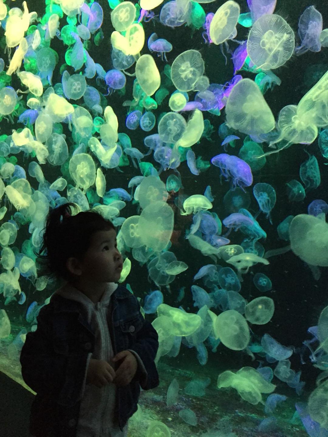 珠海长隆海洋王国附近美食,珠海长隆海洋王国官网预约