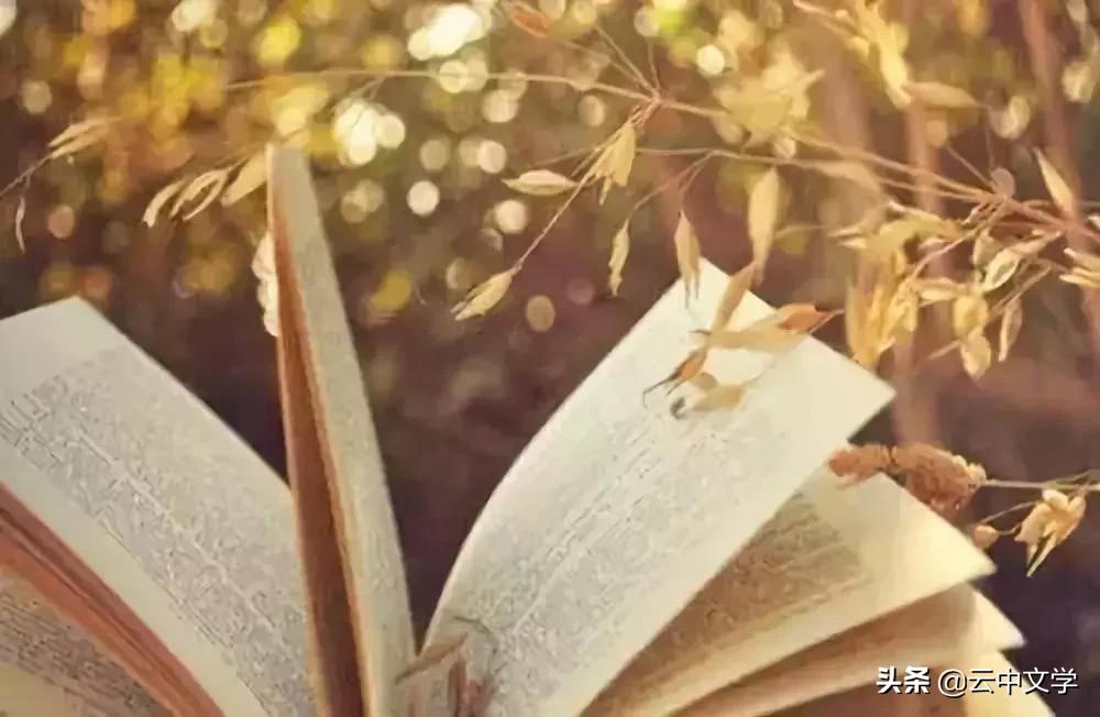 100句必背英语格言,经典名言英语作文