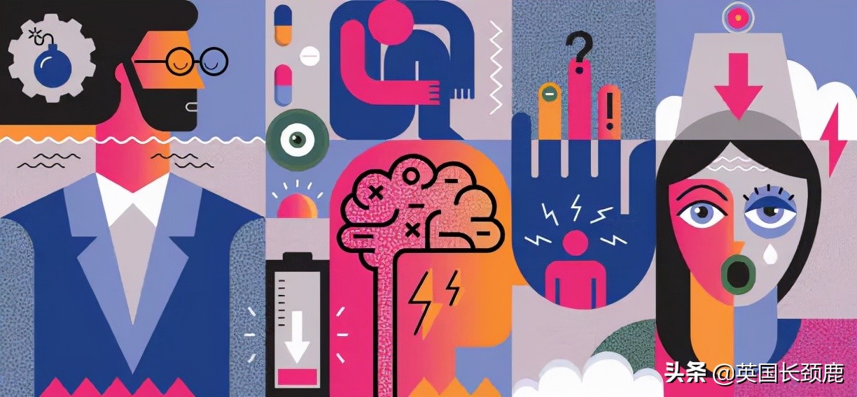 羊驼治愈案例,动物治愈焦虑