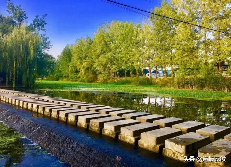 安徽合肥免费旅游攻略,合肥春节免费游怎么预约