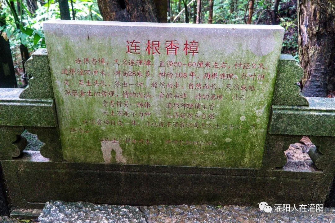 广西桂林灌阳县旅游,灌阳人在柳州