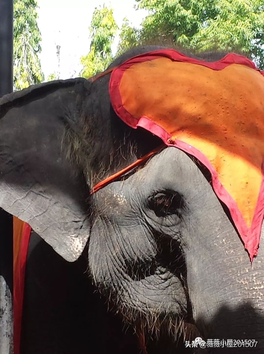 泰国为东南亚最具异域风情的国家,带你领略不一样的泰美丽曼谷