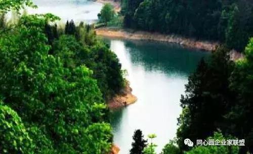 同心圆企业家联盟视频,企业家联盟2019