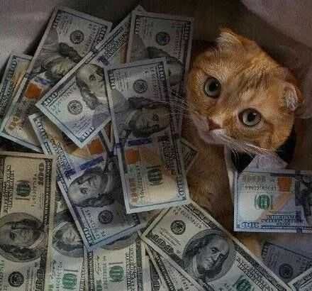 吃人肉喝人血的,到底是资本还是人本身?