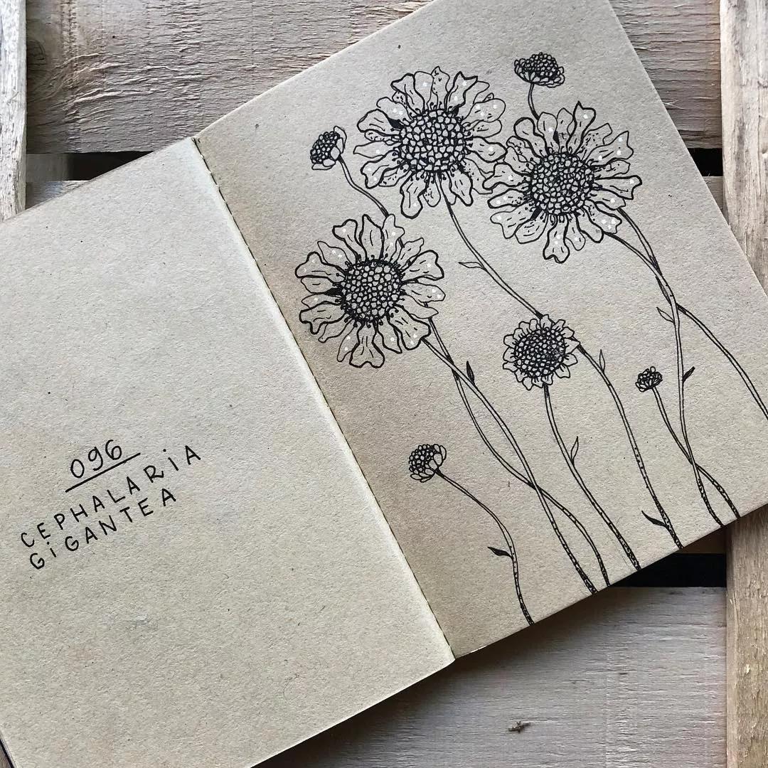 一看就懂的针管简笔画,针管笔入门手绘1000例临摹图