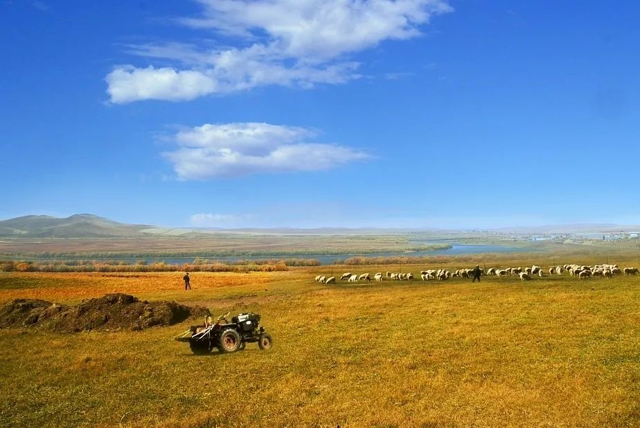 养心养肺之旅,静心养肺养心