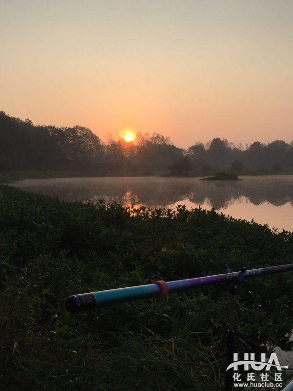 你知道“一味”名字的由来吗？那还要从化老师的一款小药说起
