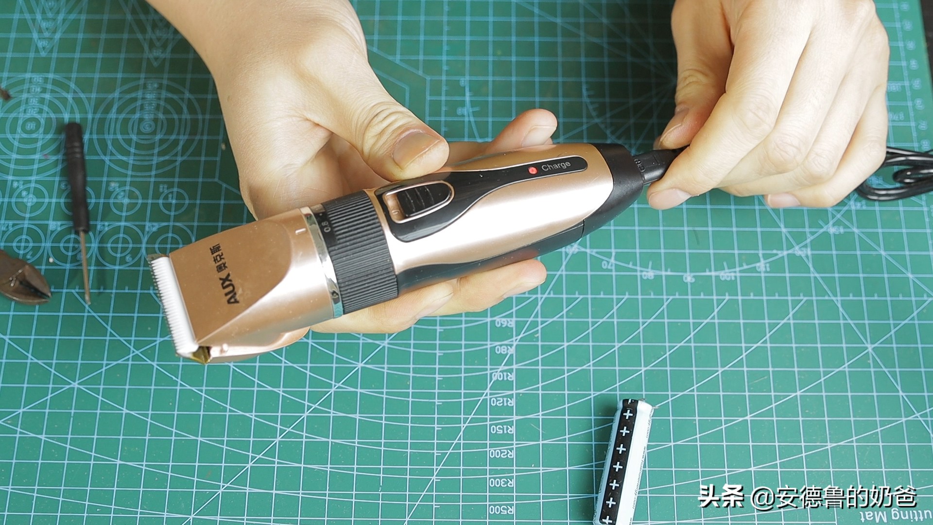 春日vlog完整版,春日vlog竖版