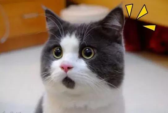 事关所有乐山人！2019年发生的第一件大事，直接影响你的的票子！