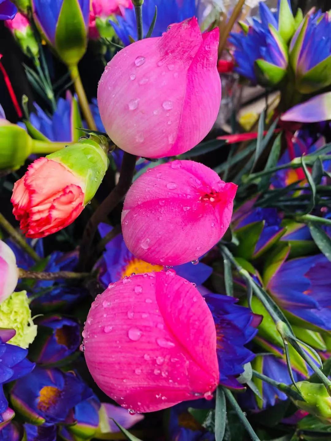 当你朋友不开心时怎么安慰他,当你的朋友不开心要怎么哄呢