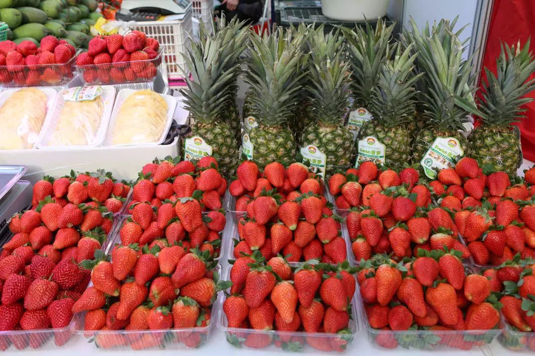 玩转第十八届长春农博会,2019长春冬季农博会票价