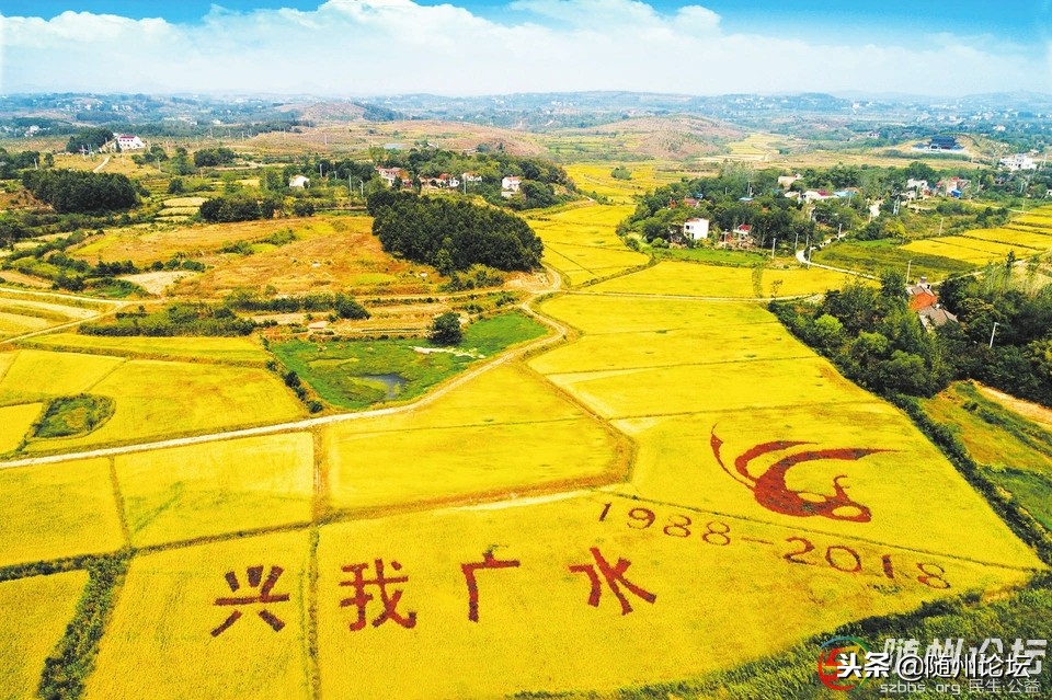 广水创业项目有哪些,广水市试点农村