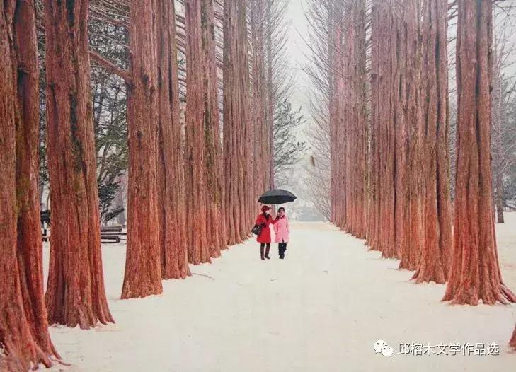 韩国游记完整版视频,韩国游记小说