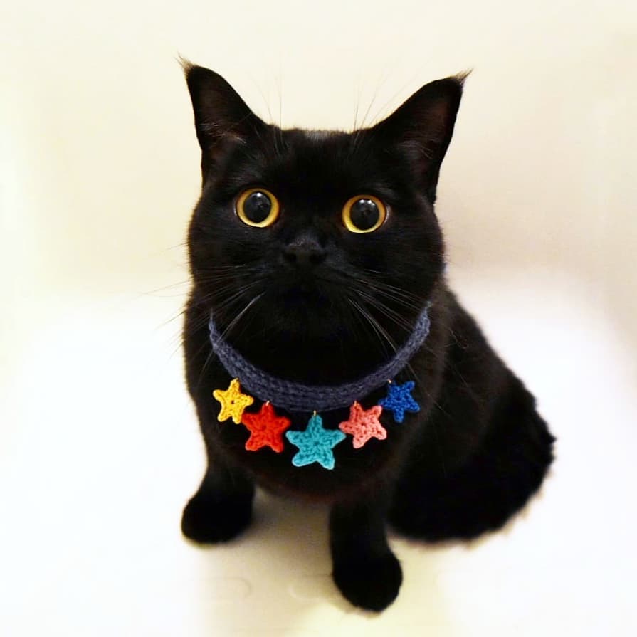 日本卡通小黑猫,日本动漫小黑猫