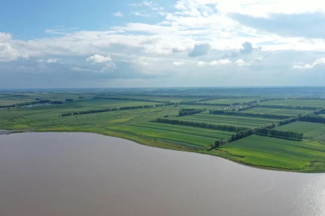 一头奶牛的自述,一头奶牛全年平均产多少斤奶