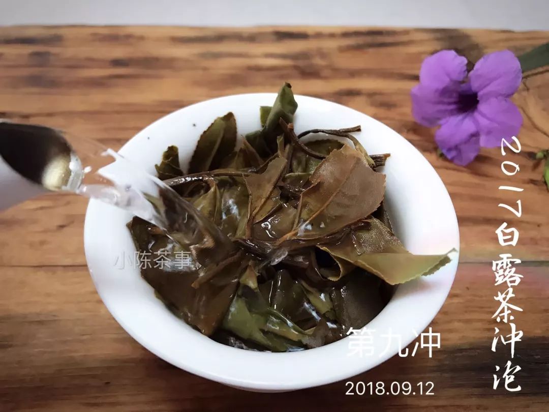 盖碗冲泡白茶的投茶量,白茶紧压白茶冲泡方法图解