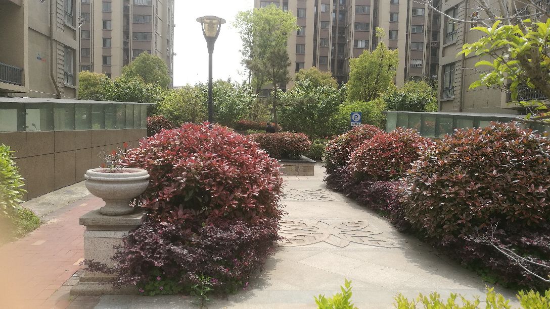 现在拆房消息,最新消息拆房