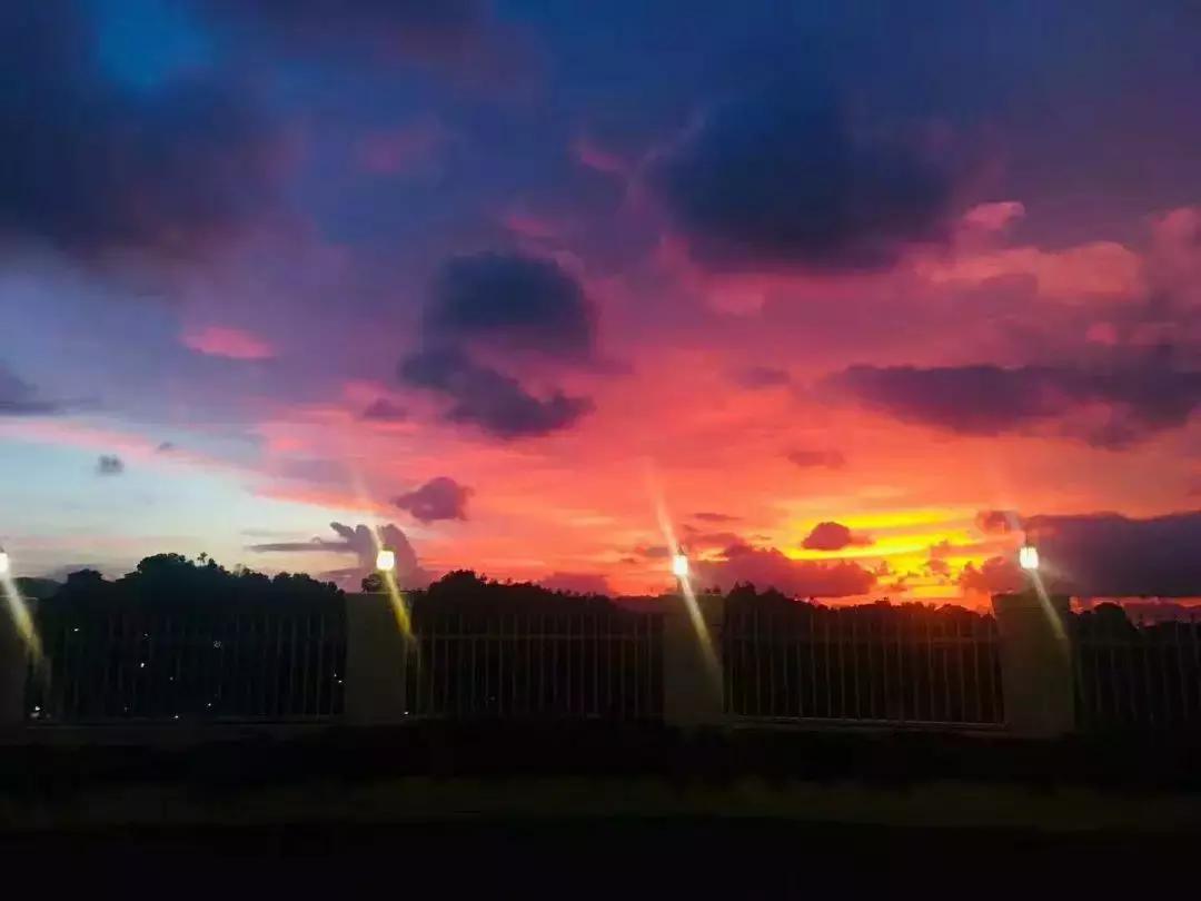 一生必去一次的神奇国度，榴莲白菜价，还有千与千寻里的海上火车