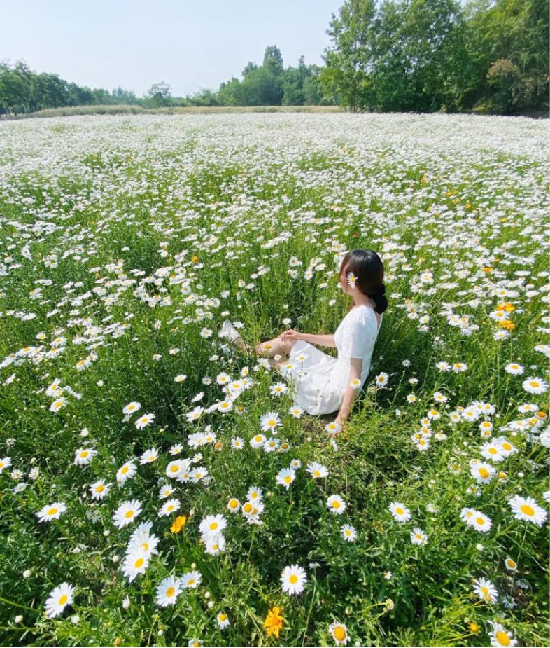五一小众宝藏旅行地成都周边,成都旅行打卡地