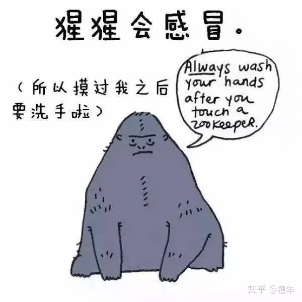 想象中不一样的动物冷知识,悲伤的动物视频