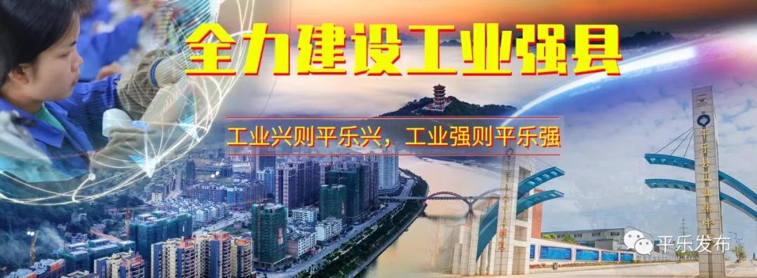 广西桂林平乐县有什么单位招工,广西平果县工业园区招聘信息