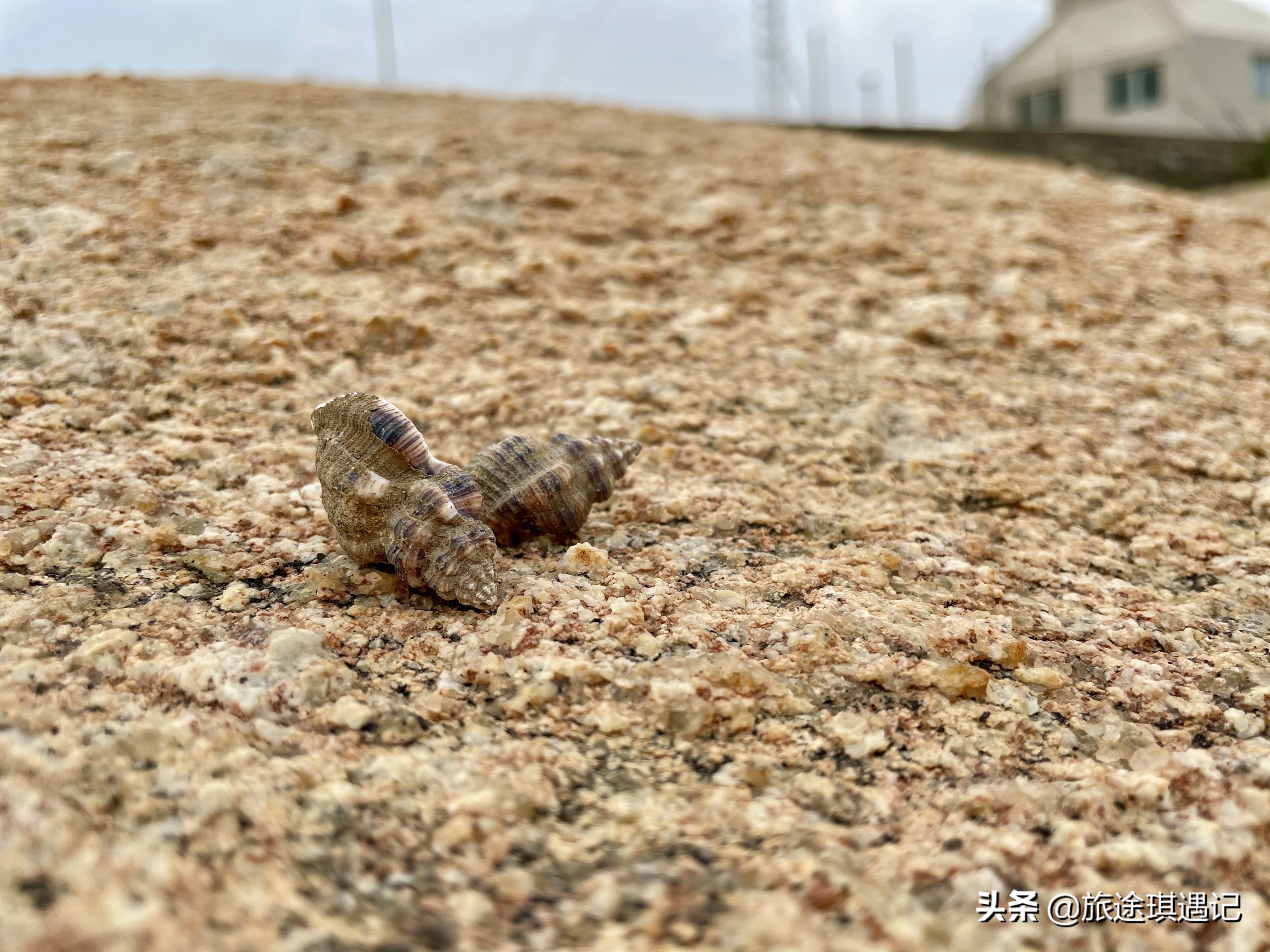 一座灯塔、一口神泉、一片风车，在广东惠来我看到了不一样的大海