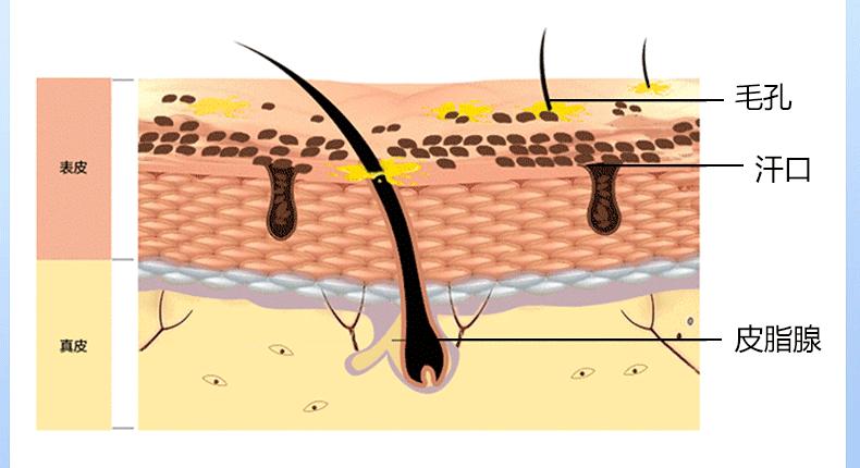 「丽皙白美肤转发送礼」做好角质层护理工作，让护肤效果事半功倍！