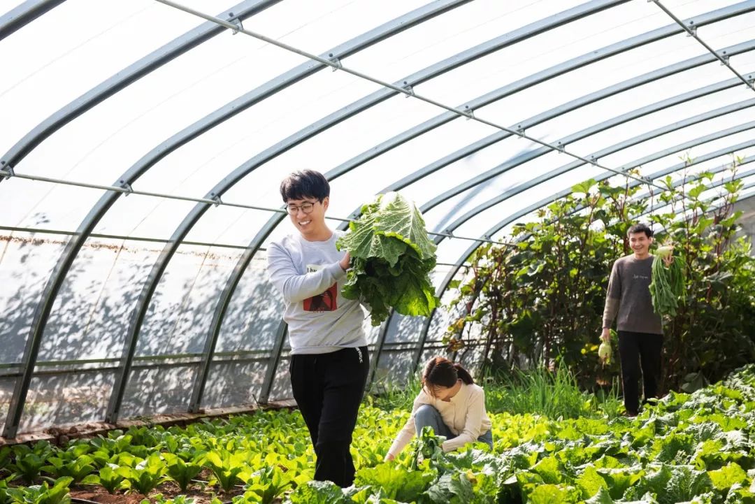 秋景徒步、汗蒸唱K,吃满族特色二八席,最适合团建的怀柔秘境