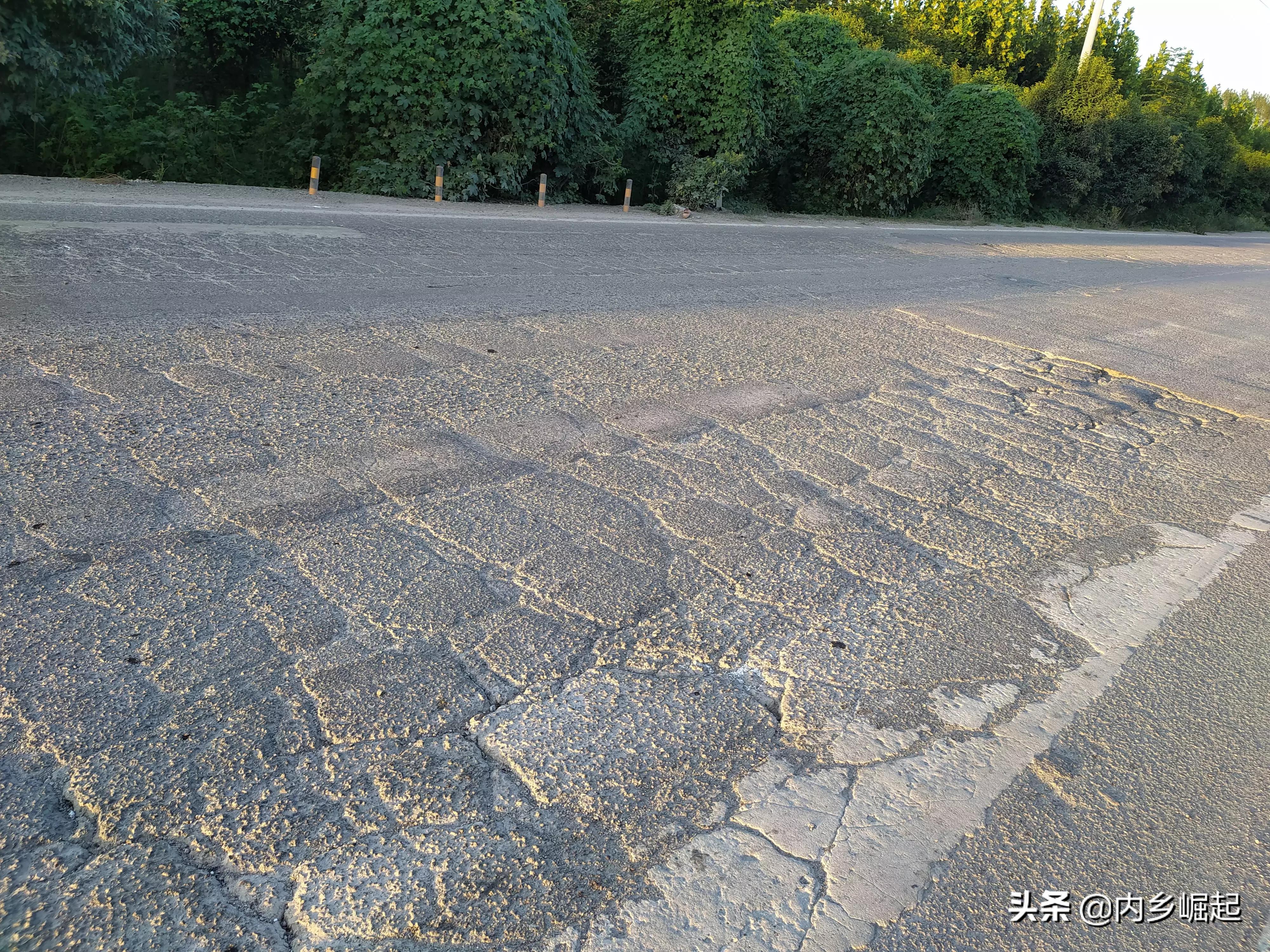 内乡牧原食品产业城,走进牧原肉食品
