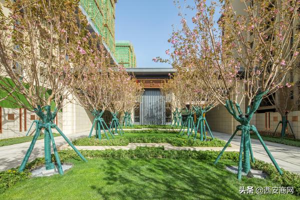 碧桂园“浐灞双星”闪耀||于城市浮尘中筑一处世外桃源