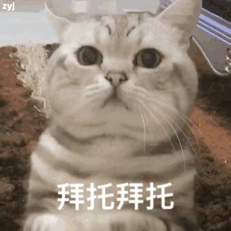 好看的叫女神，年轻的叫小姐姐，像你这种又年轻又好看就叫女朋友