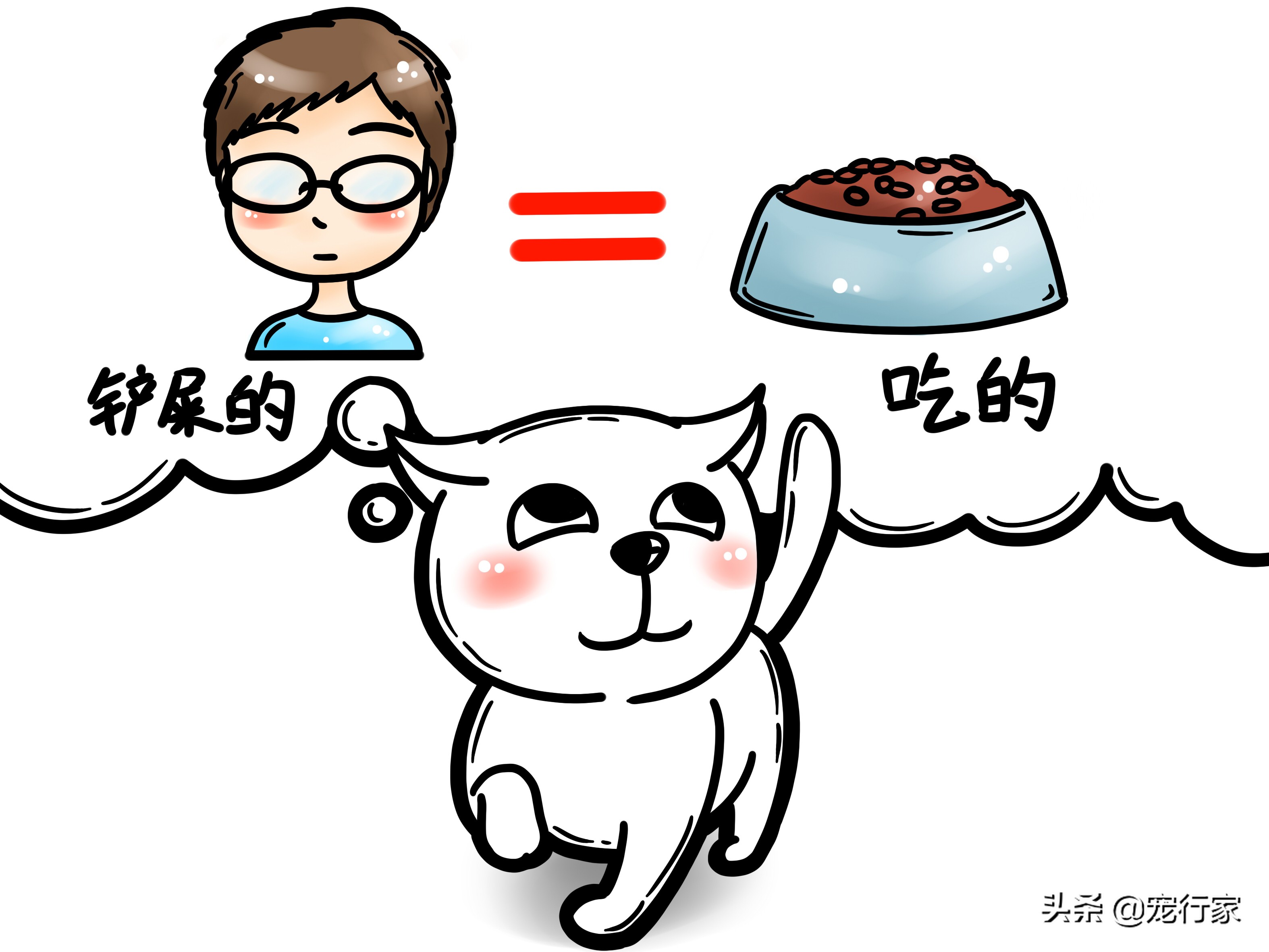 生骨肉猫吃得少,猫粮生骨肉的喂养方法